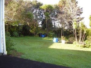 Backyard_Scene_(9734583372)