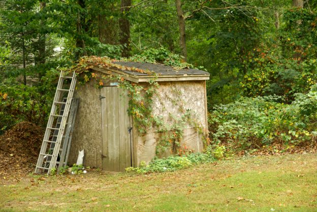 Shed Clean Out Junk King Cobb County
