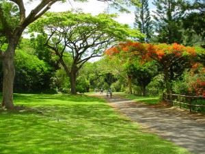 botanical-garden-1459264