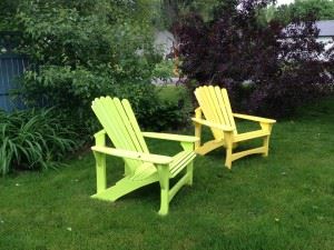 backyard-197116_960_720