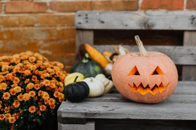 How to do your Part for a â€œGreenâ€ Halloween in Los Angeles