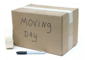 moving-day1-300x211
