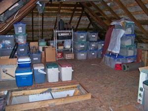 Attic_Organized_2