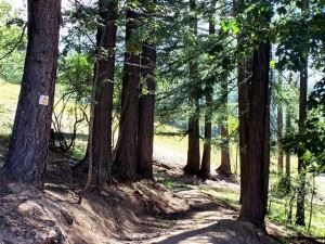 hiking-trail-1365763