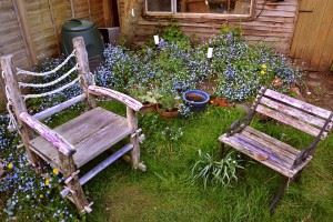 chairs-993853_960_720